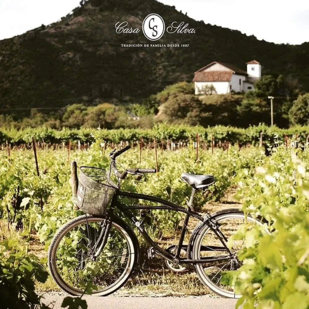 Casa Silva Lago Ranco Patagonian Riesling
