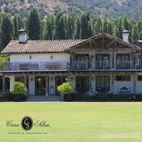Casa Silva Lago Ranco Patagonian Riesling