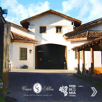 Casa Silva Lago Ranco Patagonian Riesling