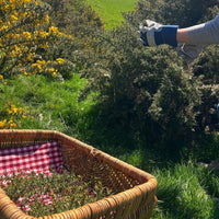 Sloemotion Bramble Whisky Liqueur