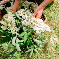 Sloemotion Bramble Whisky Liqueur