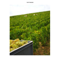 Taittinger Folies De La Marquetterie