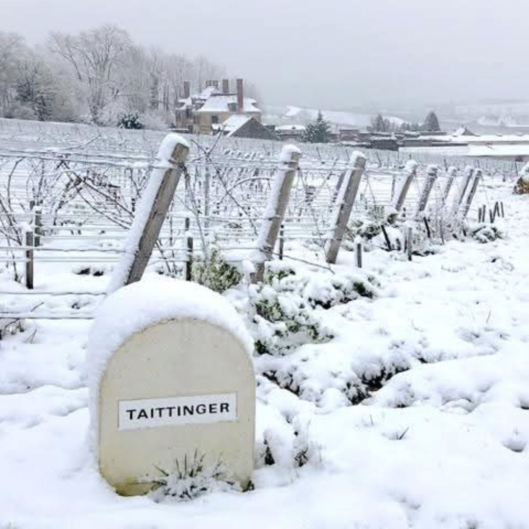 Taittinger Folies De La Marquetterie