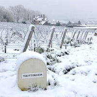 Taittinger Folies De La Marquetterie