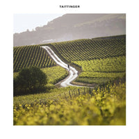 Taittinger Folies De La Marquetterie