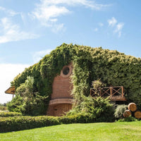 Torres Andica Rose