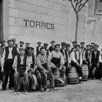 Pazo das Bruxas Albarino
