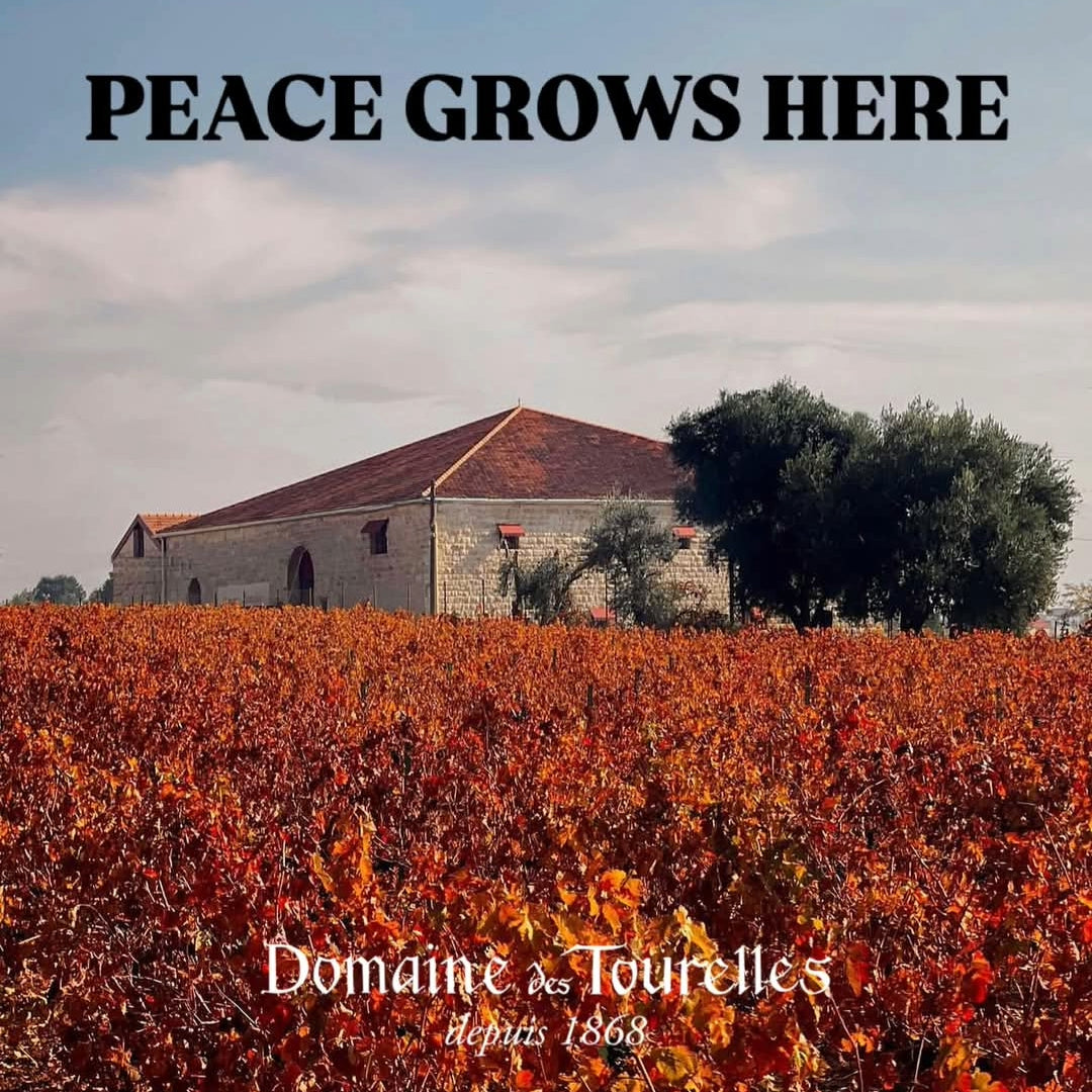 Domaine Des Tourelles White Blend