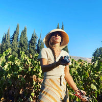 Domaine Des Tourelles White Blend