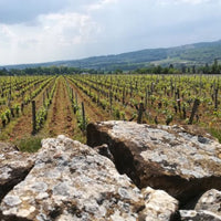 Domaine Des Tournons Tripoz Bourgogne Pinot Noir
