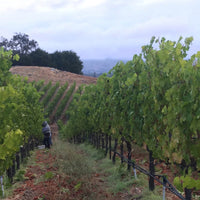 Trefethen Estate Cabernet Sauvignon