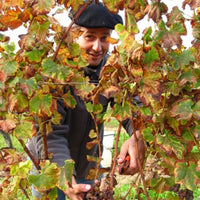 Chateau La Tuilerie Du Puy Bordeaux Superieur