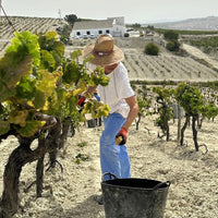 Valdespino Vermouth Herencia