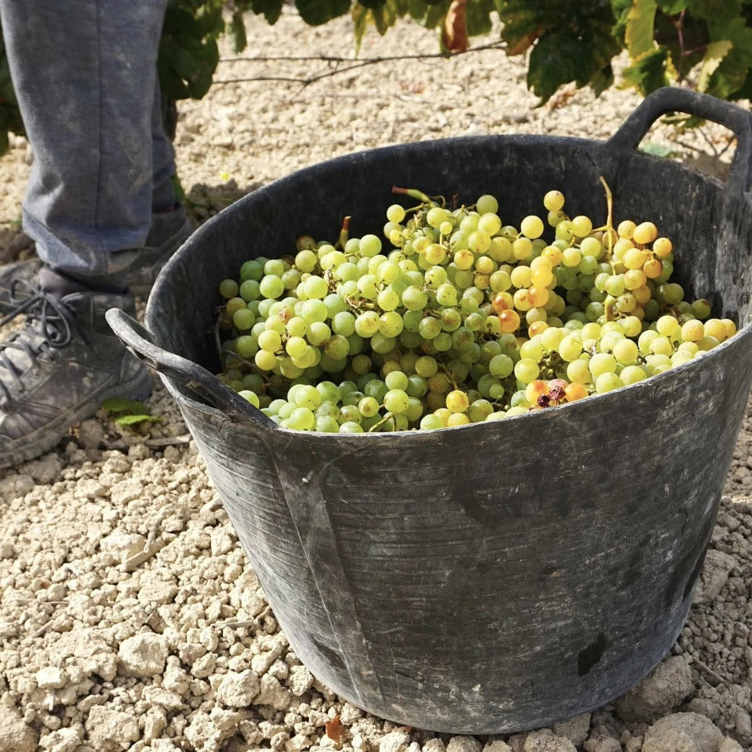 Valdespino Vermouth Herencia