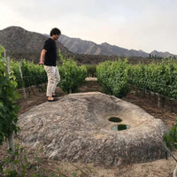 Vallisto Extremo Viejas Blancas