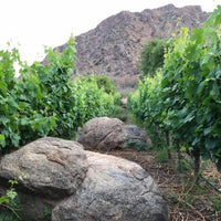 Vallisto Extremo Viejas Blancas