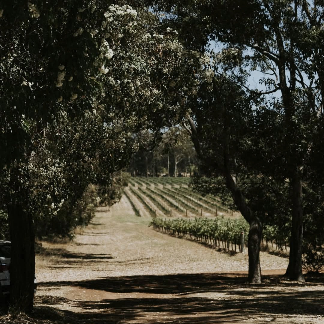 Vasse Felix Margaret River Chardonnay