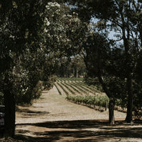 Vasse Felix Margaret River Chardonnay