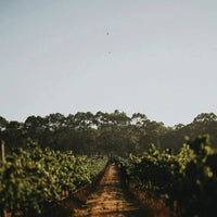 Vasse Felix Margaret River Chardonnay