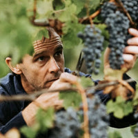 Vasse Felix Margaret River Chardonnay