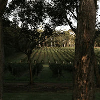Vasse Felix Margaret River Chardonnay