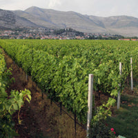 Vukoje Hercegovacki Vranac Rezerva