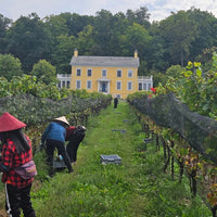 Westcott Vineyards Pinot Noir