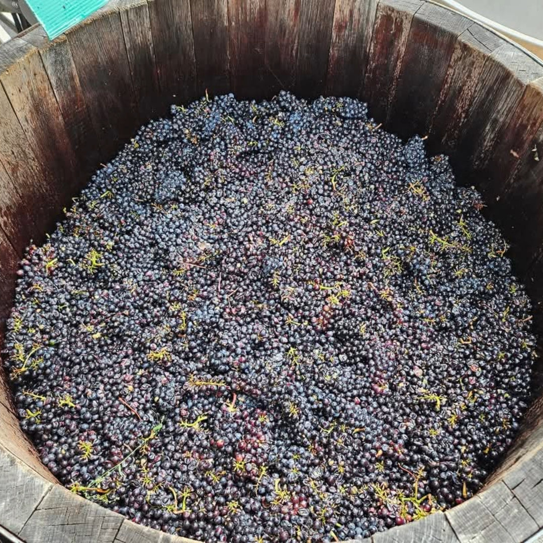 Westcott Vineyards Pinot Noir