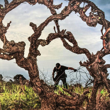 Wildman Astro Bunny Pét-Nat