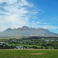 Kleine Zalze Cellar Selection Chenin Blanc