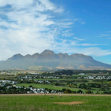 Kleine Zalze Cellar Selection Chenin Blanc