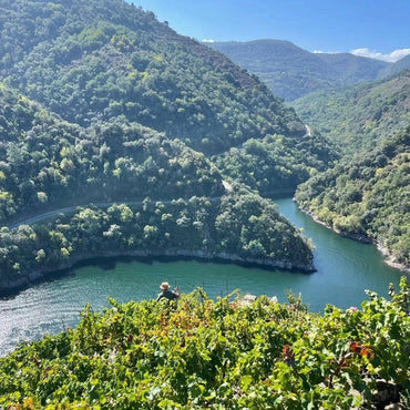 Adega Ponte da Boga Blanco Lexitimo DO Ribeira Sacra - Latitude Wine & Liquor Merchant