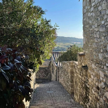 Aelred Melonade Aperitif - Latitude Wine & Liquor Merchant