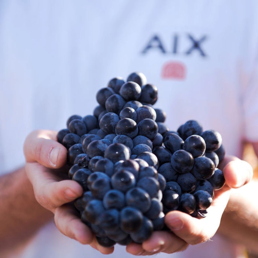 AIX Provence Rose - Latitude Wine & Liquor Merchant