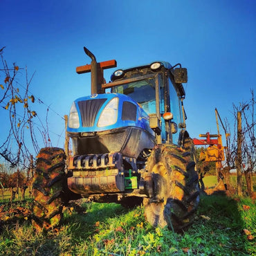 Albert De Conti Sauvignon/Chenin Pet Nat - Latitude Wine & Liquor Merchant