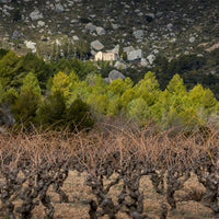 Alfredo Arribas Vinsnus inStabile Priorat - Latitude Wine & Liquor Merchant