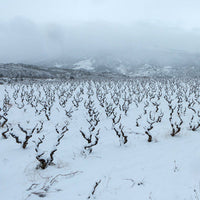 Alfredo Arribas Vinsnus inStabile Priorat - Latitude Wine & Liquor Merchant