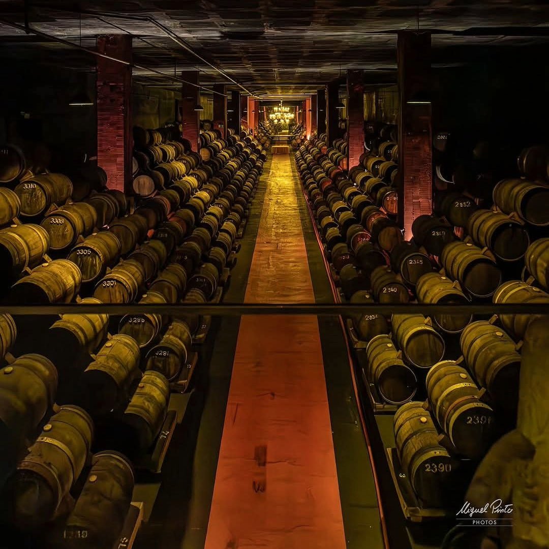 Alianca Bairrada Reserva - Latitude Wine & Liquor Merchant