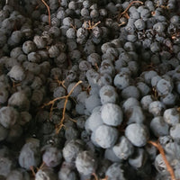 Alpha Zeta S" Soave" - Latitude Wine & Liquor Merchant