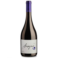 Amayna Cote d'Mar Syrah - Latitude Wine & Liquor Merchant