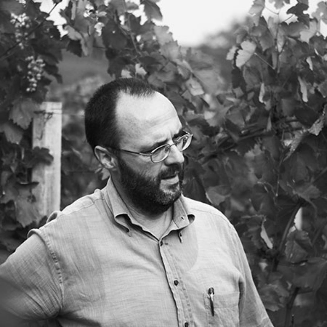 Ancora, Sangiovese di Puglia - Latitude Wine & Liquor Merchant