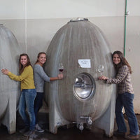 Aniello Patagonian Pinot Noir - Latitude Wine & Liquor Merchant