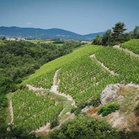 Anthony Paret Valvigneyre Cotes Du Rhone Syrah - Latitude Wine & Liquor Merchant