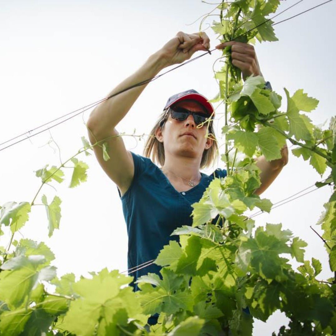 Anthony Paret Valvigneyre Cotes Du Rhone Syrah - Latitude Wine & Liquor Merchant