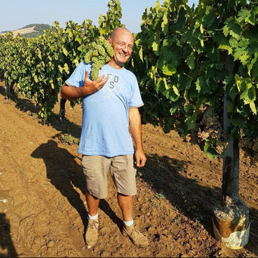 Antonio Camillo Morellino Di Scansano - Latitude Wine & Liquor Merchant