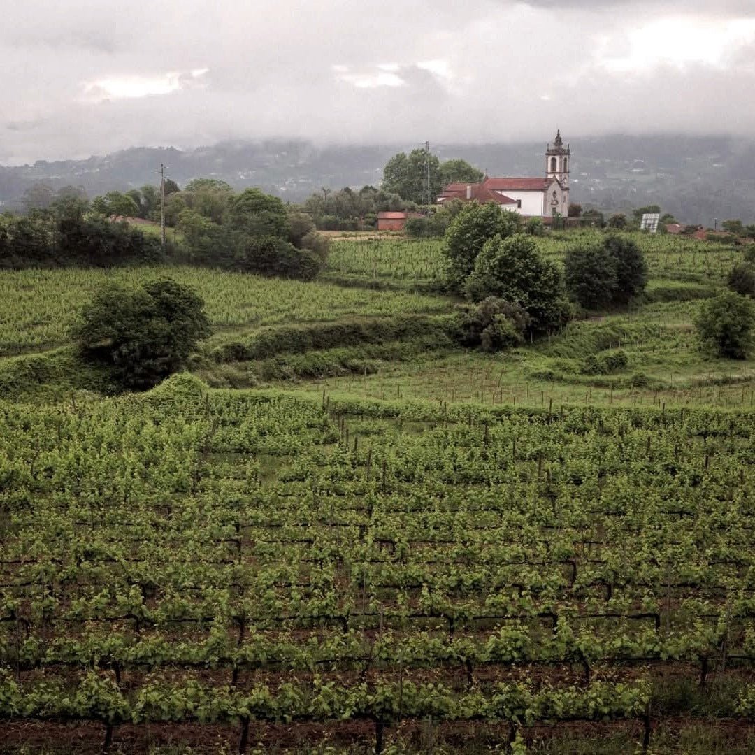 Aphros Pura Maresia Vinho Verde - Latitude Wine & Liquor Merchant