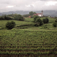 Aphros Pura Maresia Vinho Verde - Latitude Wine & Liquor Merchant