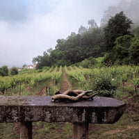 Aphros Pura Maresia Vinho Verde - Latitude Wine & Liquor Merchant
