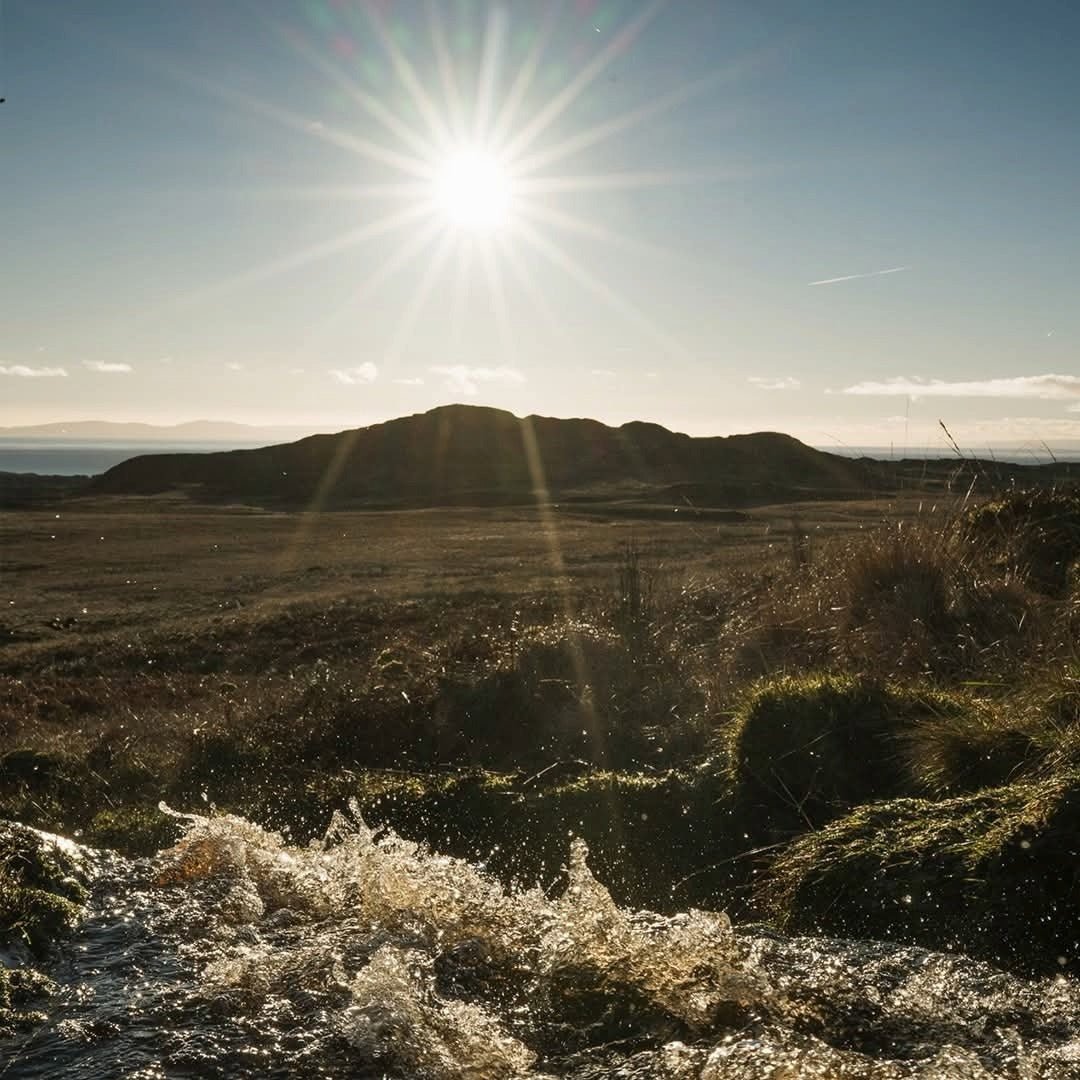 Ardbeg 10yo - Latitude Wine & Liquor Merchant