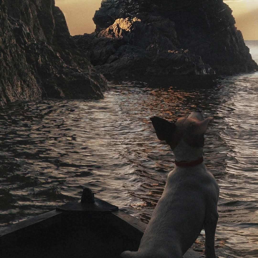 Ardbeg 10yo - Latitude Wine & Liquor Merchant